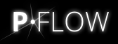 PFLOW - Dataexpert