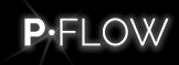 PFLOW - Dataexpert